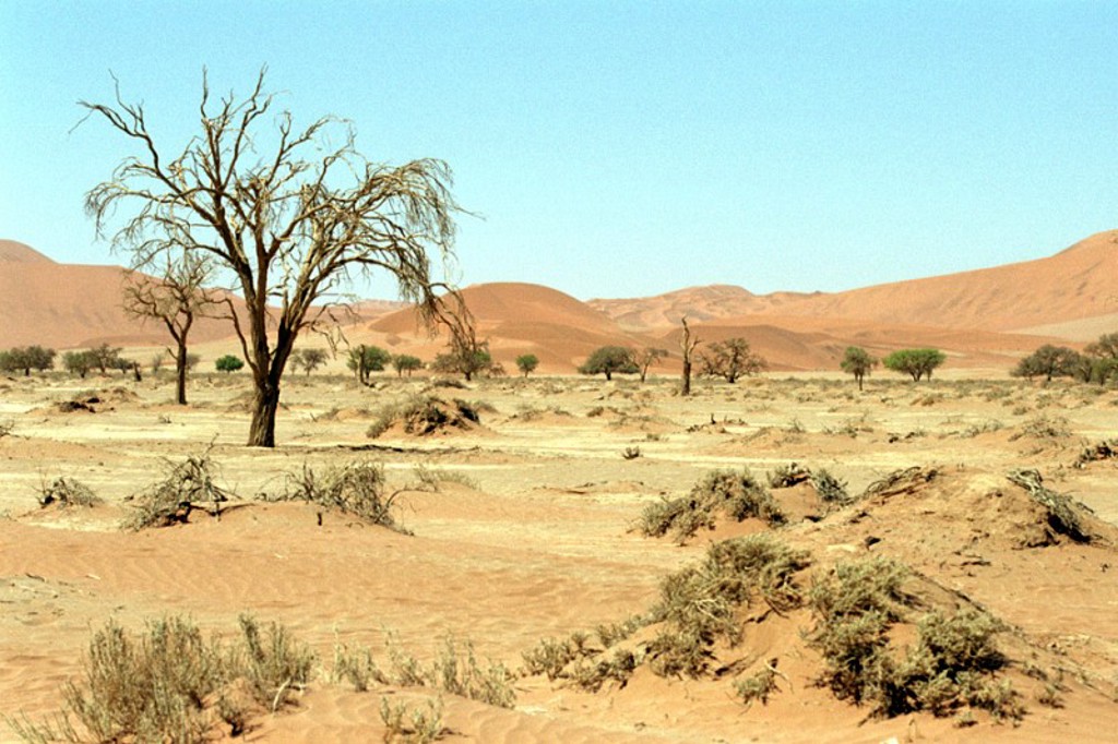 Sossusvlei