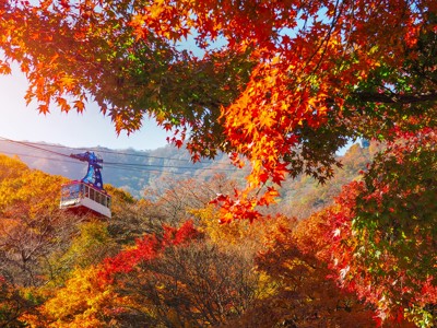 Route Zuid-Korea, 19 dagen - Dag 6