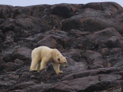 Route Zuidwaarts - Dag 3