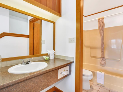 Canadian Princess Lodge & Marina - badkamer