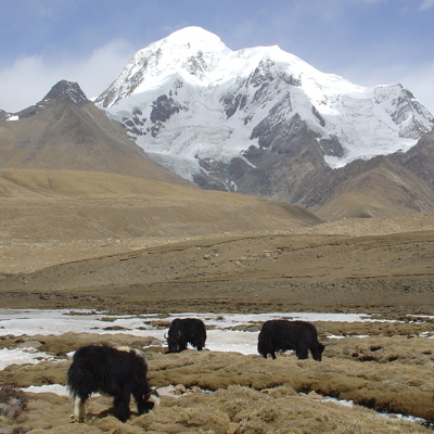 Groepsrondreis Tibet en Nepal