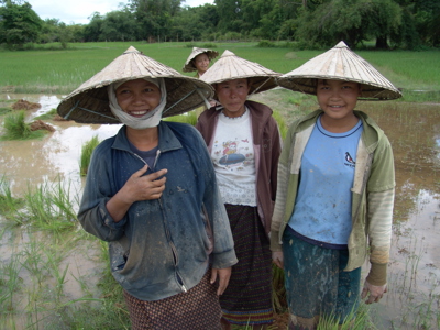 Laos & Cambodja - Dag 20