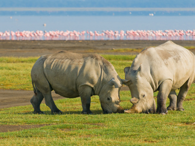 Route 22-35 Kenia & Tanzania, 20 dagen - Day 5
