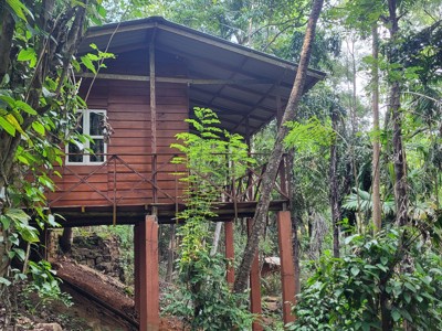 Route 16-daagse 22-35ers reis Sri Lanka - Day 11