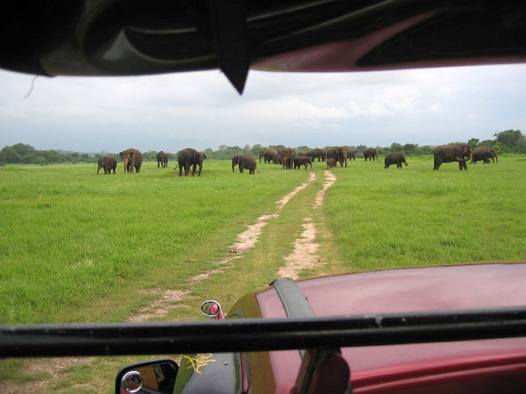 Sri Lanka Jeepsafari