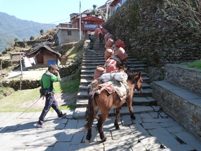 Route Nepal Annapurna