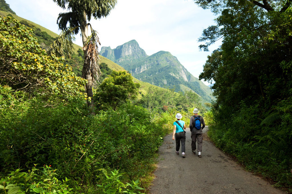 main_shutterstock_100320071_jungle_hike_sri_lanka.jpg