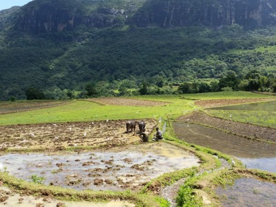 Route Sri Lanka reis, 24 dagen OUD - Dag 12