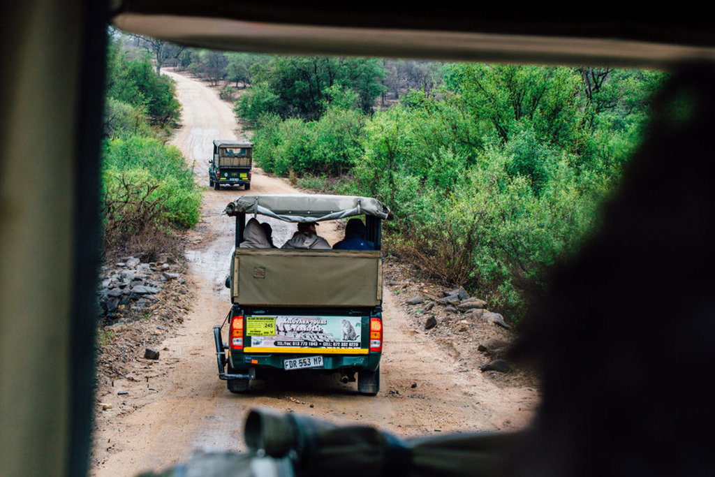 main_Zuid-Afrika_-_Kruger_Park_game_drive__4_.jpg