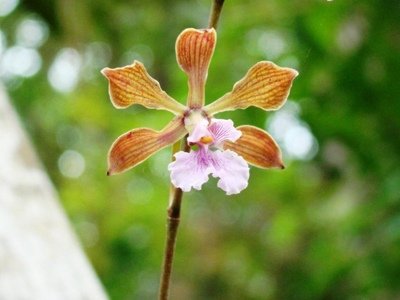 Familiereis Guatemala en Belize, 18 dagen - Day 8