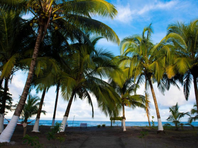 Hotel Tortuguero Beachfront Costa Rica