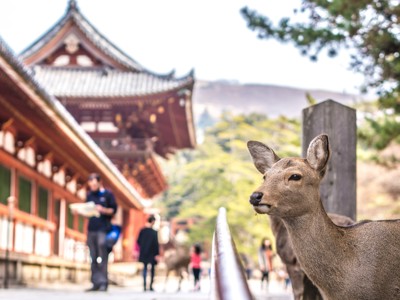 Route Japan, 21 dagen (reizen t/m 1 mei 2024) - Day 20