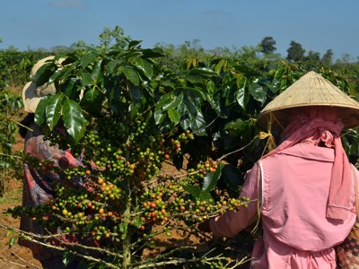 Laos & Cambodja - Dag 19