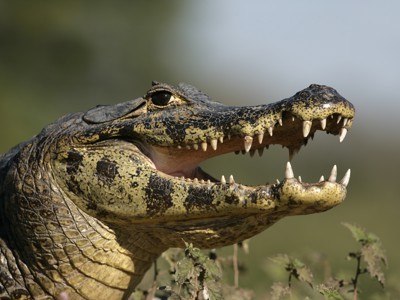 Route van Buenos Aires naar Rio - Day 9