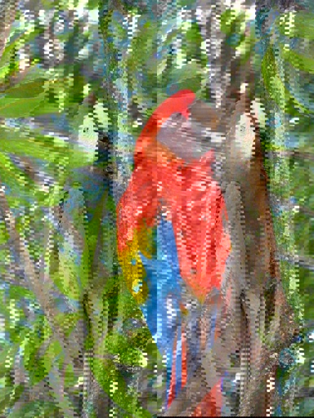 main_P1090671-Marije_Hendrix.jfif