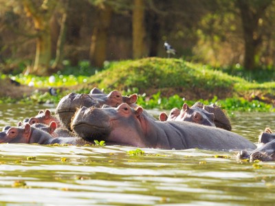 Oost-Afrika familiereis - Dag 2