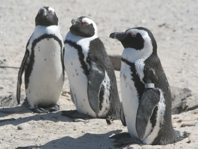 Route Zuid-Afrika, 20 dagen - Dag 18