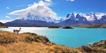 Groepsrondreis Patagonië en Paaseiland