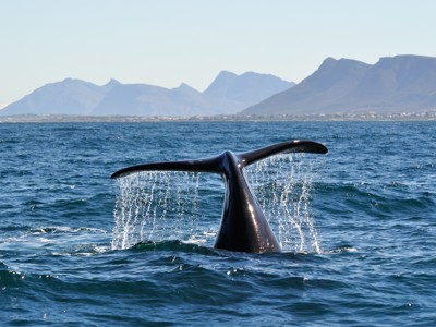 Route Zuid-Afrika - Dag 4