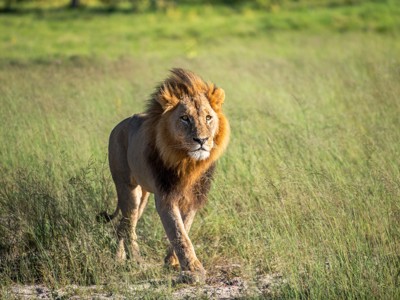 Kenia, Tanzania en Zanzibar, 23 dagen - Day 12