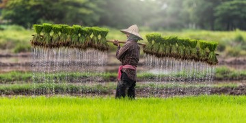 Familiereis Thailand, Laos en Cambodja