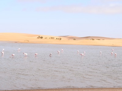 Route Namibië, 19 dagen - Dag 6