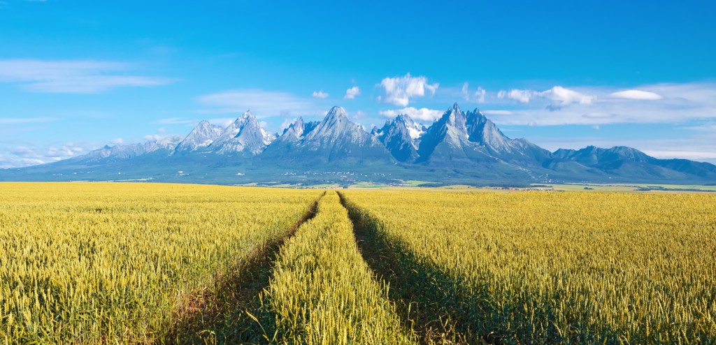 hoge tatra Slowakije