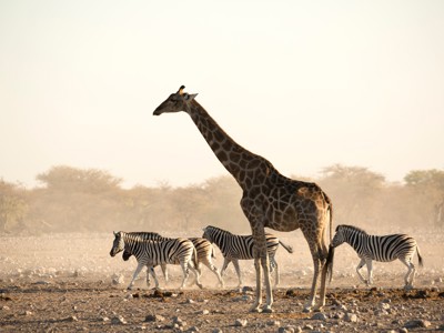 Route Windhoek - Vic Falls - Day 12