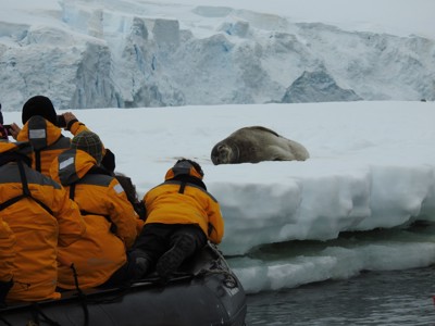 Route rondreis Antarctica 15 dagen - Dag 10