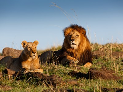 Route 22-35 Kenia & Tanzania, 20 dagen - Day 7