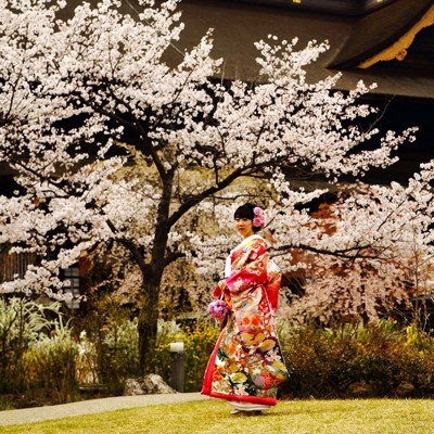 Groepsrondreis Japan Hoogtepunten