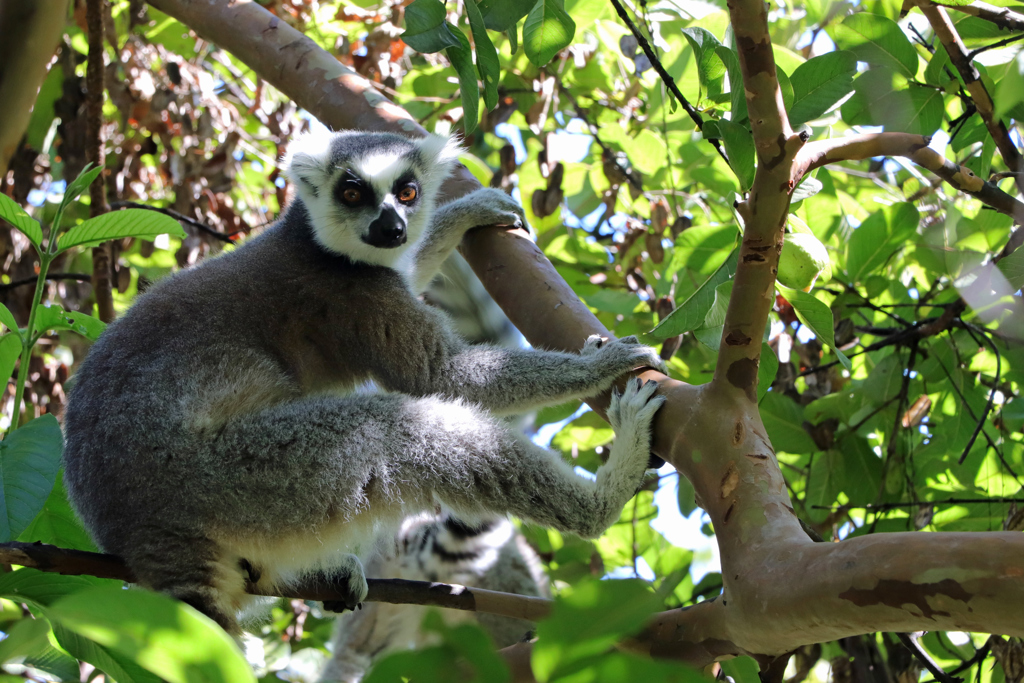 Anja Reserve (2).jpg