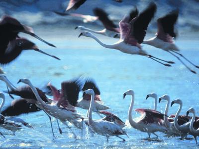 Route Peru 2019, 22 dagen OUD - Dag 2