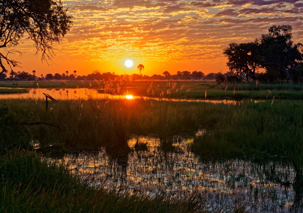 Rondreis Botswana Okavango Delta