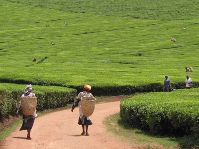 Route Kenia, Tanzania en Zanzibar, 21 dagen - Day 9