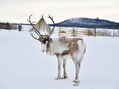 Route 7 daagse reis Zweden en Noorwegen - Dag 2