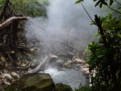 Route Costa Rica Hoogtepunten - Day 9