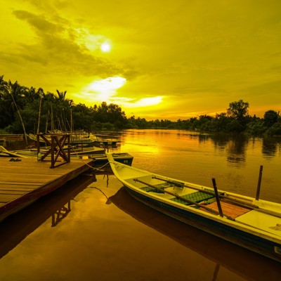 Excursie vuurvliegjes, incl. diner