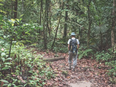 Route Maleisisch Borneo, 23 dagen - Dag 10