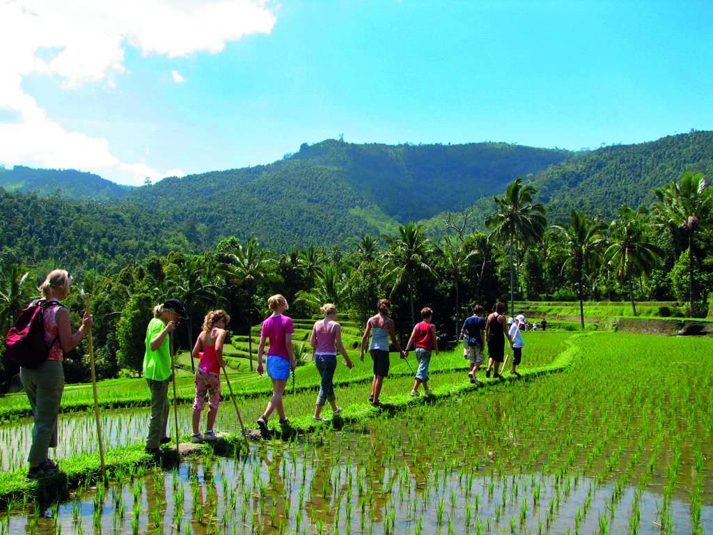 Indonesië - Bali - Munduk (261).jpg