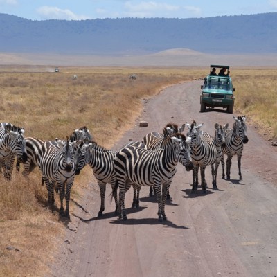 Groepsrondreis Kenia en Tanzania