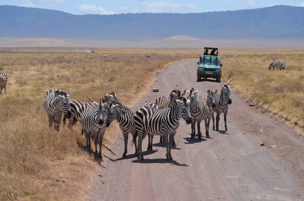 DSC_0605__2__Ngorongoro_krater.JPG