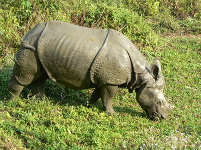 Route Nepal Annapurna