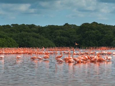 Route Ruta Maya reis, 23 dagen - Dag 3