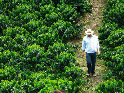 Route Colombia, 21 dagen (2019) - Day 9