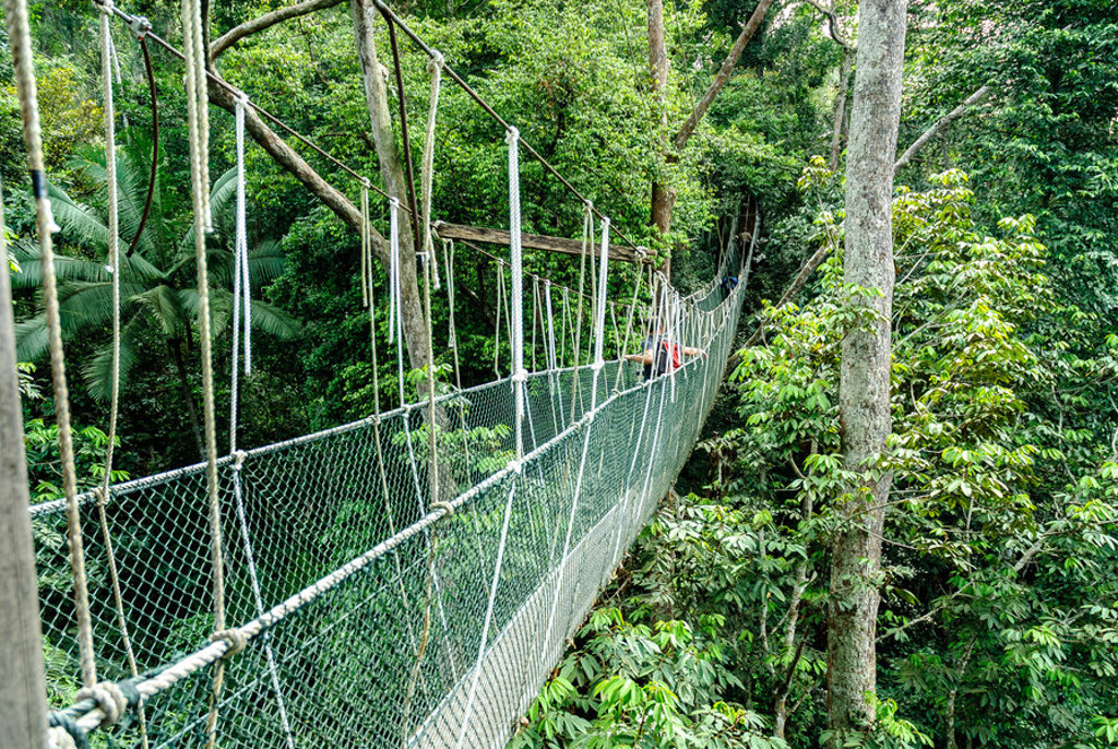 main_shutterstock_430099969-Taman_Negara.jpg