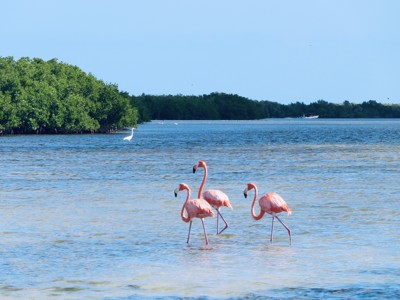 Route Mexico, 18 dagen - Day 6