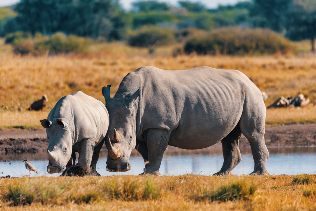 Rondreis Kenia en Tanzania