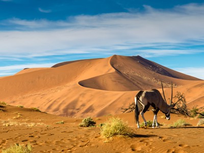 Route Kaapstad - Vic Falls - Day 9