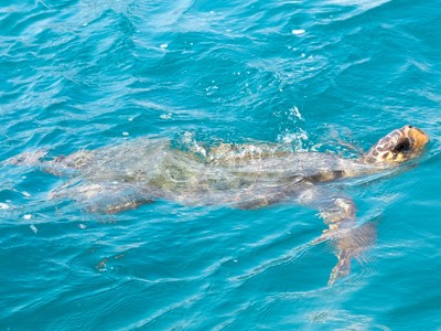 22-35ers reis Griekenland - Day 9